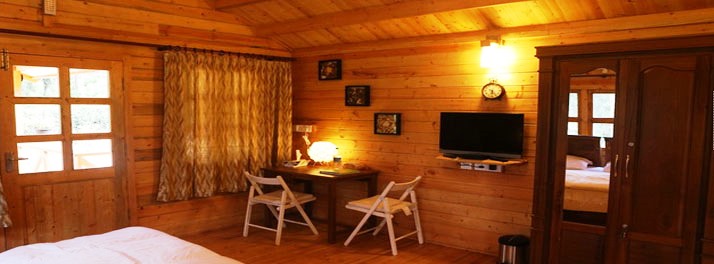 1389/Rainforest Resort - Munnar 09.jpg